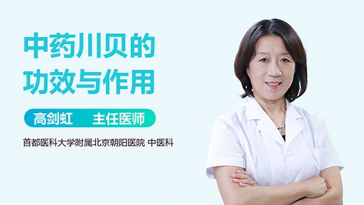 中药川贝的功效与作用-有来医生