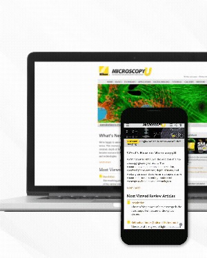 🕰️ In November 2000, Nikon launched MicroscopyU, an online educational hub aimed at inspiring microscope users worldwide, from students to researchers. 🌐Featuring image galleries, a comprehensive knowledge base, educational resources on optical systems, and insights from leading microscopists, MicroscopyU continues to be a trusted source of learning and inspiration. 🔗Explore tutorials, techniques & timeless insights: microscopyu.com #NikonMicroscopy #MicroscopyU #MicroscopyEducation | Nikon M