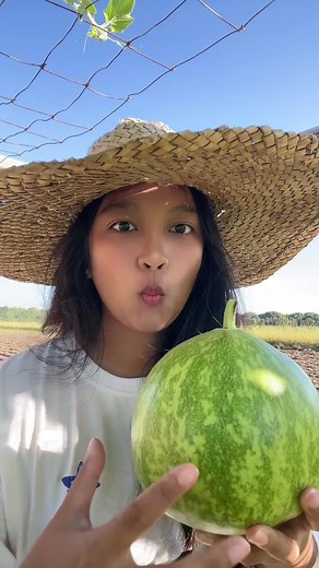 Harvesting Asparagus: Farm Life in the Philippines