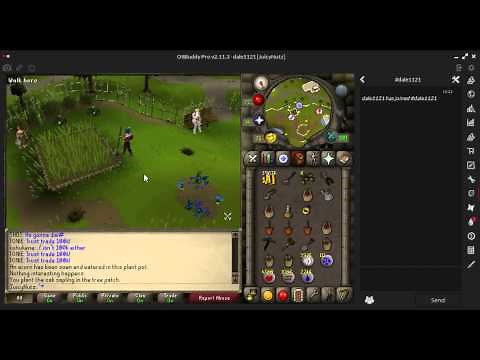 OSRS GUIDE FARMING OAK/ACORN TREES SPOTS
