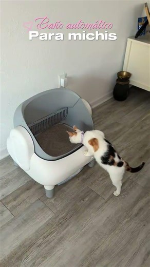 Easy setup, no smell, and looks great 🐱 #cat #selfcleaninglitterbox #catlife #cumrige