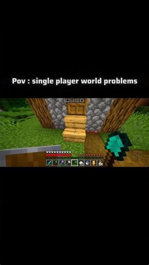 pov single player world problems #minecraft#op#subscribe