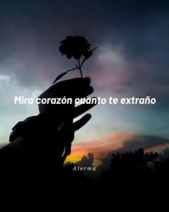 El verdadero amor perdona - Maná | A l e r m a