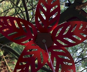 Mechanical Flower (using Arduino)