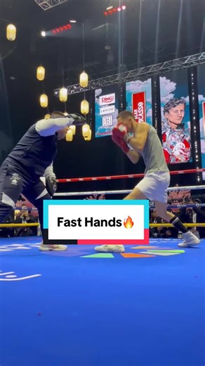 Alan Picasso's Boxing Technique Showcase