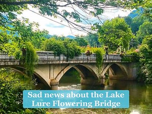 161K views · 1.8K reactions | One of the most magical places in North Carolina will soon be torn down. Our hearts are with you, and we will never forget the Lake Lure Flowering Bridge — where heaven was a place on earth.  #lakelurenc #lakelure | Heather Leah | Facebook