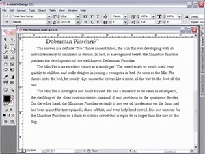 007 InDesign CS2: Insert Footnotes