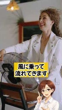 【夏の新常識】扇風機の風を劇的に涼しくする裏ワザ