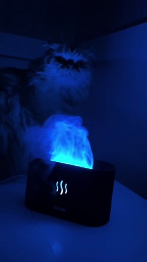 Diffuseur à Flamme : Sublimez Votre Déco en Tunisie