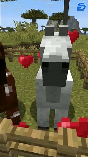 How to Breed Horses in Minecraft
