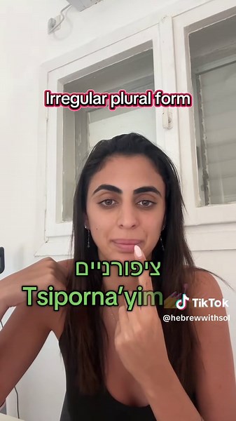 Hebrew Plurals Explained: Learn Irregular Forms