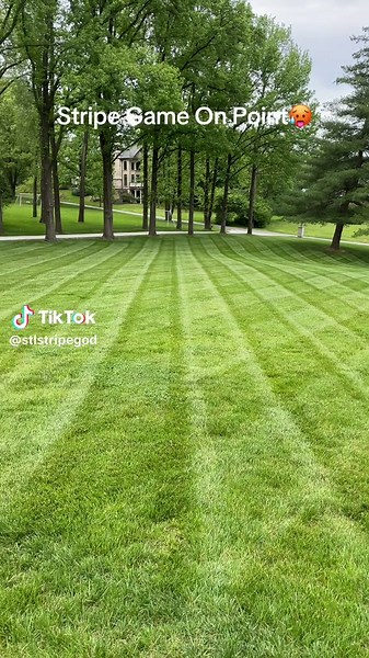 Expert Landscaping Techniques for Perfect Stripe Patterns