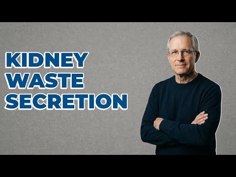 How Do Kidneys Secrete Additional Waste?
