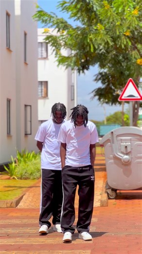 Suduuu Dance Challenge with Twin Stars