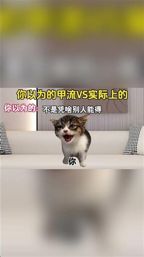 你以为的甲流vs实际上的！#cheems #funny #memes