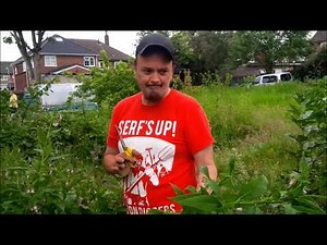 How to make Comfrey Plant Food (Dry method)