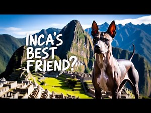 The Sacred Hairless Dog: Peru’s Living Inca Treasure Revealed!