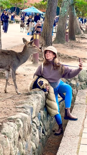 外国人女性と鹿のやさしい交流｜奈良公園の素敵な思い出 🦌🌸鹿と仲良く座る外国人女性｜奈良公園の平和な瞬 #narapark #animals #cute #narajapan #外国人観光客