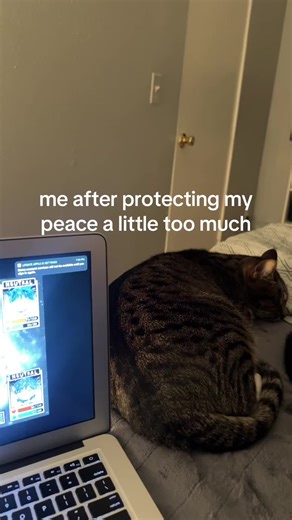 Coping with Cat Hair and Finding Inner Peace