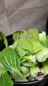 the authentic Cebuano laswa—Dive into the heart of Cebu's flavorful and healthy home-cooked soup