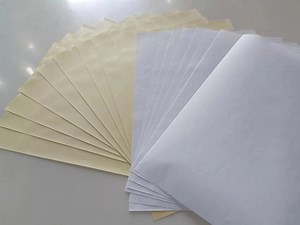 [Hot Item] 75um Thermal Synthetic Paper Self-Adhesive Paper Freezing Sticker for Cold Chain Label