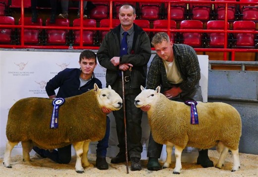 Champion sheep from Wester Ross hailed amidst ‘fairytale’ trade at Dingwall
