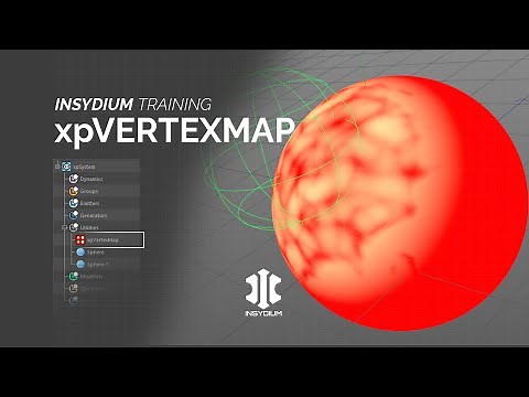INSYDIUM Training - xpVertexMap