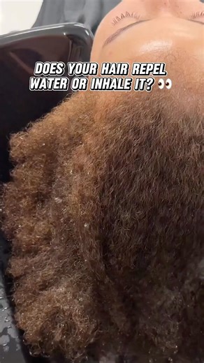 C U R L Y B A R B I E 🎀 — WINNIPEG CURL SPECIALIST🇨🇦 on Instagram: "Low Porosity vs. High Porosity — aka “I’m good✋🏽” vs. “gimme all you got💦” Porosity is all about how your hair absorbs and retains moisture. Most of my clients naturally have low porosity, where water+product. take a while to sink in. High porosity hair absorbs moisture super fast, but also loses it just as quick — usually from damage like bleach, heat, color. 💡Pro Tip: No matter your porosity, once the hair is properly cl