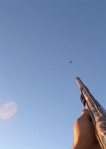 How do you all like these three beautiful shots ? #duckhunting #hunting #duck ‪@bossshotshells‬