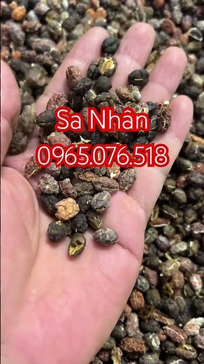Sa nhân mua ở đâu, sa nhân giá bao nhiêu, sa nhân có tác dụng gì, quả sa nhân ngâm rượu