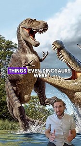 393K views · 7.1K reactions | Meet Deinosuchus, the nightmare of dinosaurs from the Cretaceous period! As the largest Alligator, Deinosuchus prowled the rivers of North America, feasting on dinosaurs. Sharing its habitat with dinosaurs like Albertosaurus and Hadrosaurus, Deinosuchus was a formidable predator, perfectly adapted to its watery environment.練秊 秊Follow Daily Dino Guy for more fascinating facts about dinosaurs!練 | Daily Dino Guy | Facebook