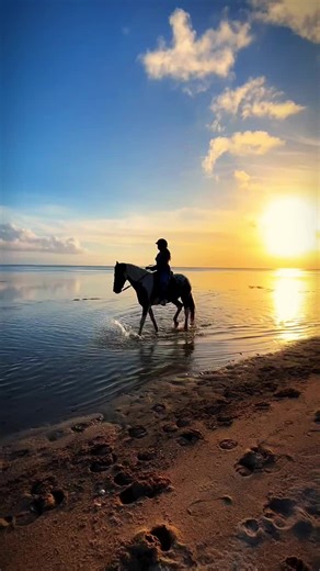 Experience Horseback Riding Along Mauritius' Stunning Coastline