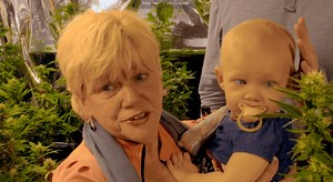 Weed The People Documentary movie - video Dailymotion