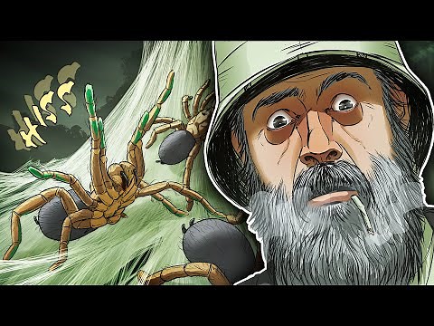 The Attack of J'ba Fofi - World's DEADLIEST Spider