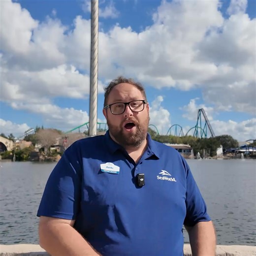 2026 is the BEST time to visit SeaWorld Orlando! From Spring's Seven Seas Food Festivals, Summer's FREE Concerts Series, Fall's Howl-O-Scream, and Winter's Christmas Celebration every season has a reason to visit. | SeaWorld Orlando