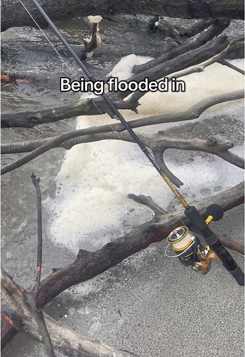 #fishing #fyp #fishtok #trevally #barra #ttr110 #fish #newreel #reel #combo #bream