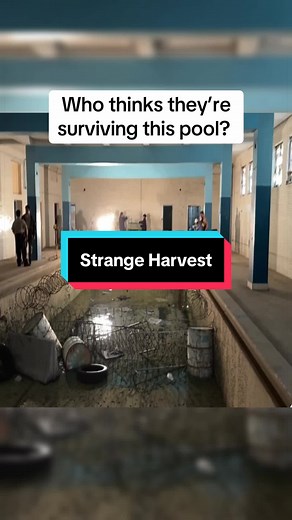 Strange Harvest is an Awesome Mockumentary horror film that everyone should give a watch. It’s got a beautiful cosmic horror plot. #horror #scary #Horrortok