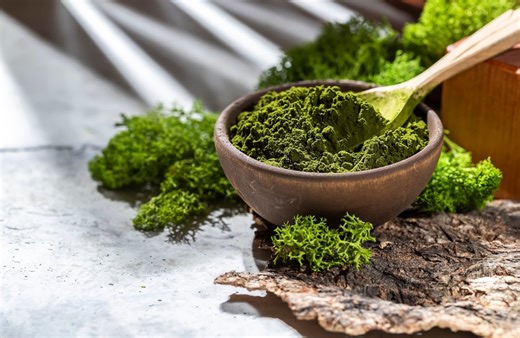 Meet the Next "It" Superfood for Your Brain, Immunity, and More — Best Life