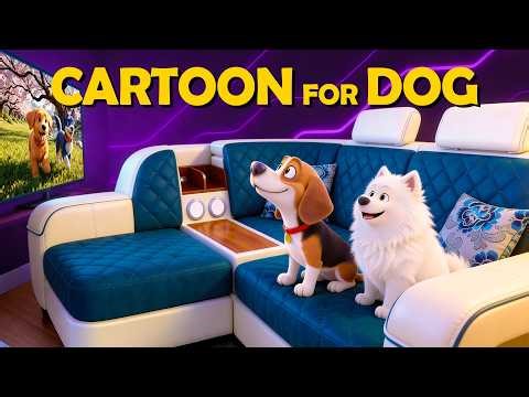 New Music Cartoon for Dogs To Watch 2026, Colors they can see! 🐶 Deep Sleep & Relaxation 💤