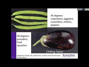 Post-Harvest Handling for Fruit & Vegetable Growers