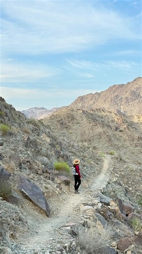 Off The Beaten Track UAE on Instagram: "Want to do an easy hike this weekend? Beautiful views and family friendly? This can be the one.. 📍Al Ghayl, Kalba 🥾7-8km loop 🚙any car can reach startpoint 🤩 bit of incline at start but gradual ✌️ if you want easiest level, skip the flags and pick the flat trail (actually the most beautiful path too) 🍳lots of breakfast places in kalba for after hike 👉full trail details, wikiloc , gpx .. can be found on Mobile App (link in bio)"