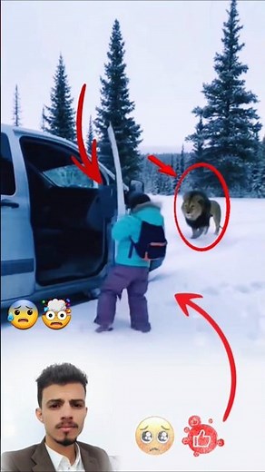 ☝🥺👍#shorts#fyp#trending#viral#animals#reels#jesus#dance#automobile#duet
