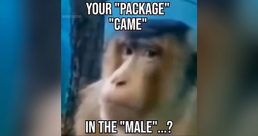 Your "Package" "Came" In the "Male" | Know Your Meme