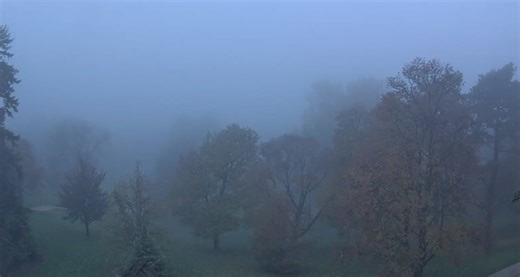 Smog or fog? How to tell the difference