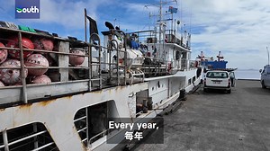 119K views · 389 reactions | #World | In #Fiji, Chinese fishing...