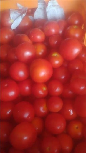 24.03.2026 vegetable rate comment for function order friends 🙏#reels#viral#trending#shorts#jana