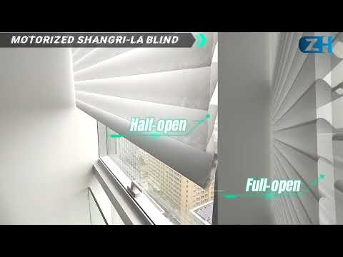 Why Motorized Shangri-La Blinds Are So Popular?