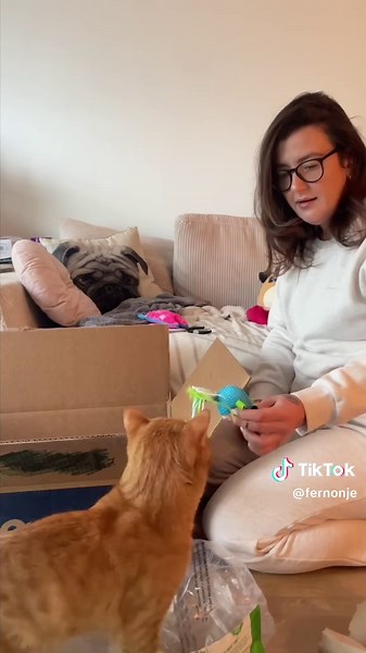 Chewy Canada Now Shipping Exclusively in Ontario