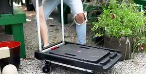 Magna Cart FF Folding Platform Transport Cart Supports 300 lbs (5 Pack)