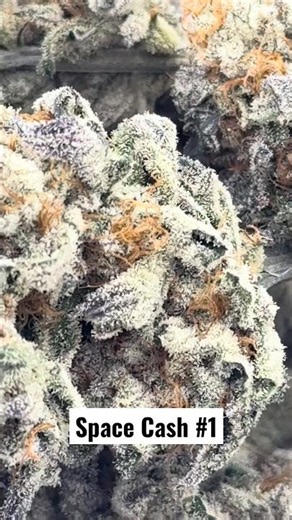 “Space Cash” Some of the prettiest indoor ever!